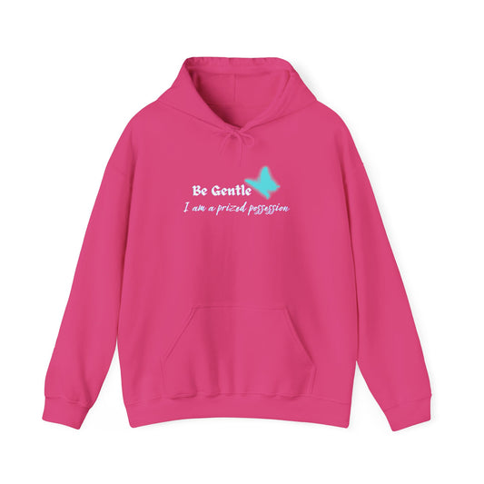 BE GENTLE I am a prized possession Hoodie